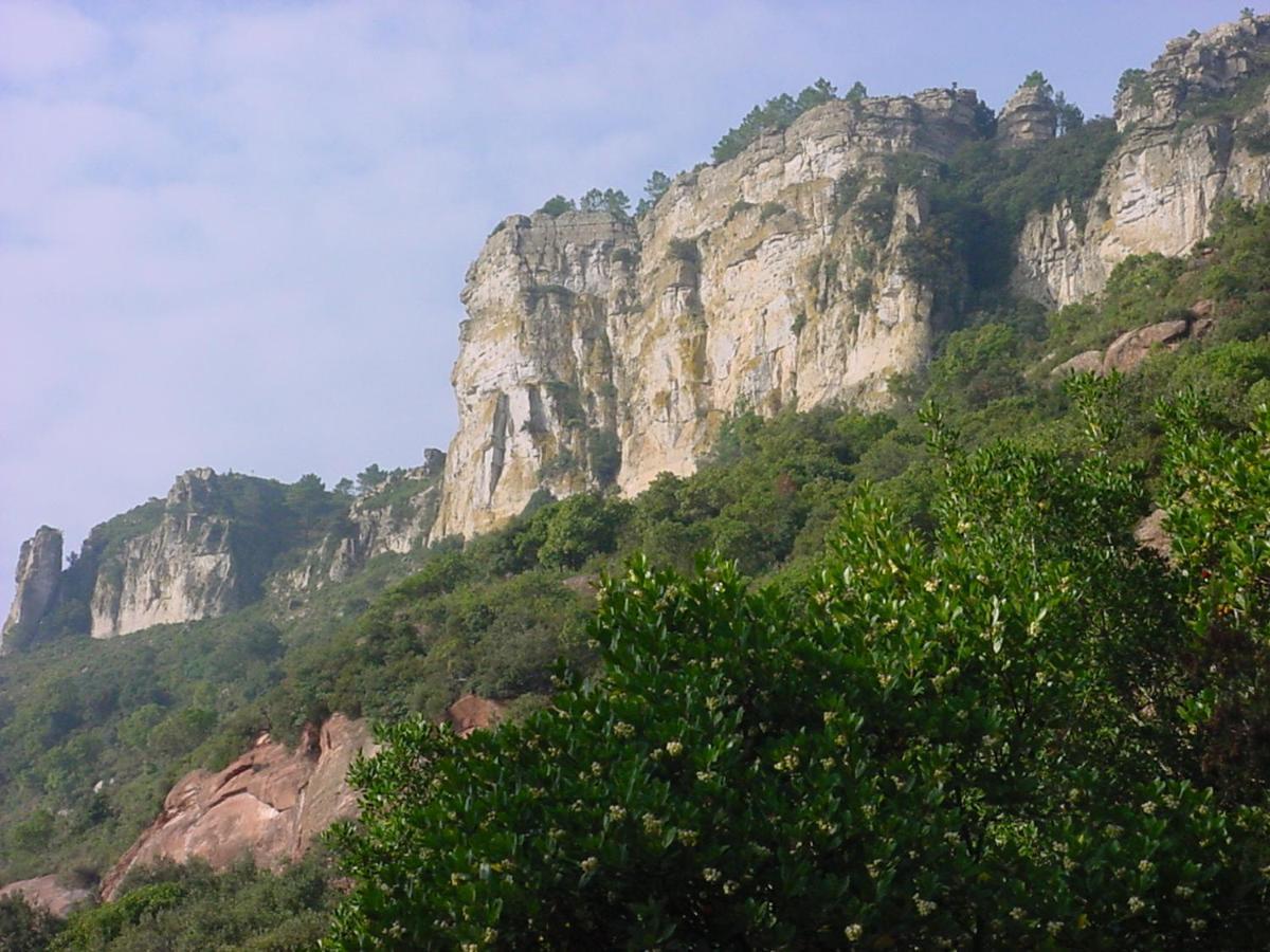 Espai Abadia Argentera 外观 照片